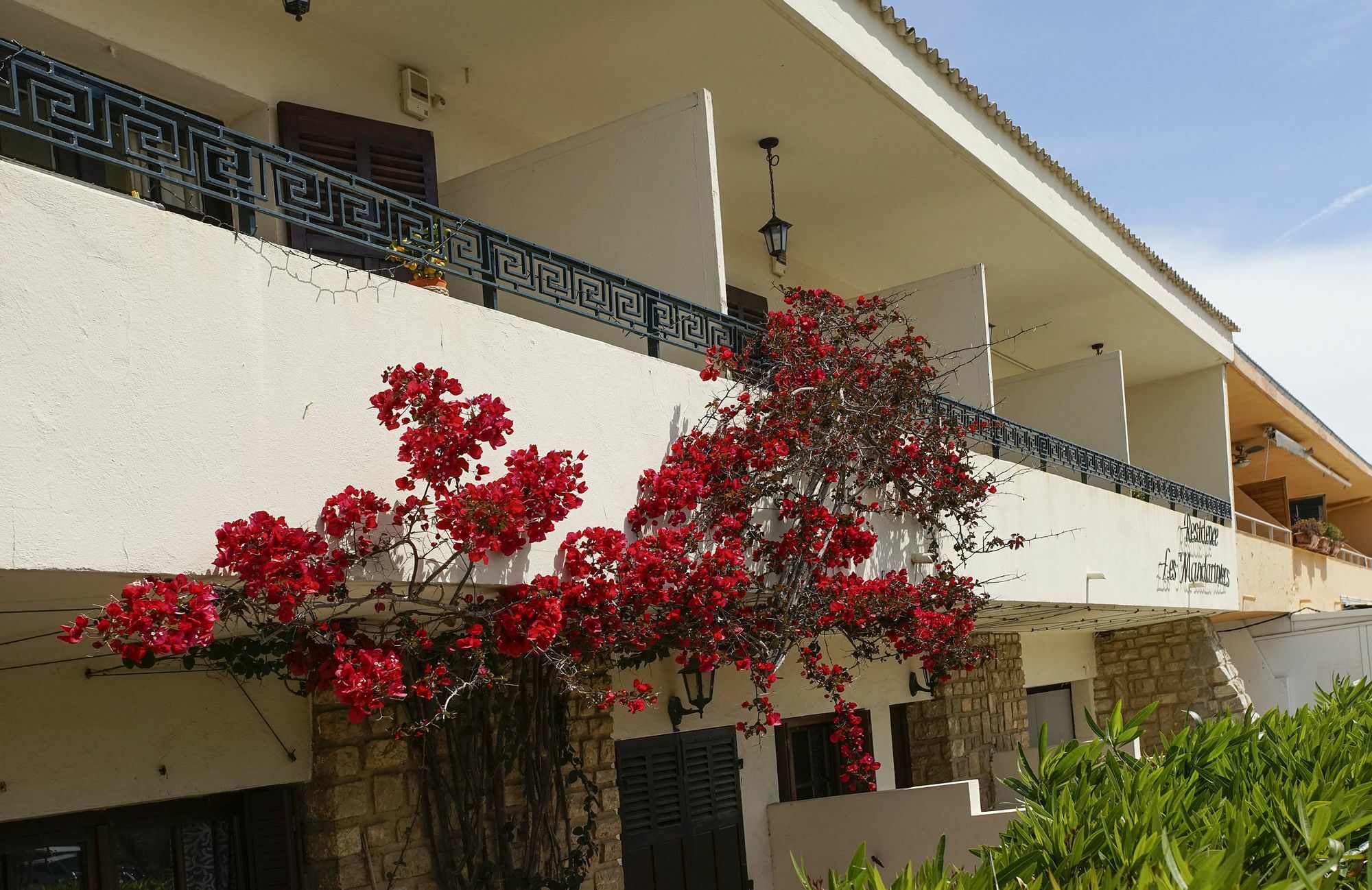 Residence Les Mandariniers อิแยร์ ภายนอก รูปภาพ